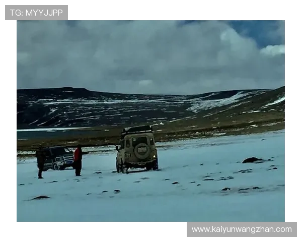 开云体育手机版会员登录流程详解帮助用户快速顺利进入账号